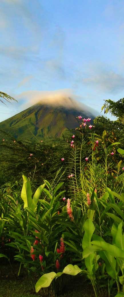beautiful misty volcano and green jungle