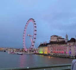 colorful lights on building and Ferris wheel